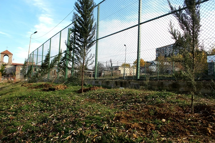  გლდანის რაიონში გამწვანების მორიგი აქცია გაიმართა