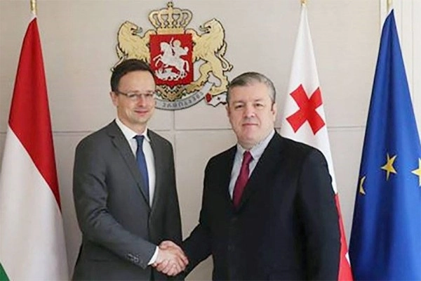  გიორგი კვირიკაშვილი უნგრეთის საგარეო საქმეთა მინისტრს შეხვდა