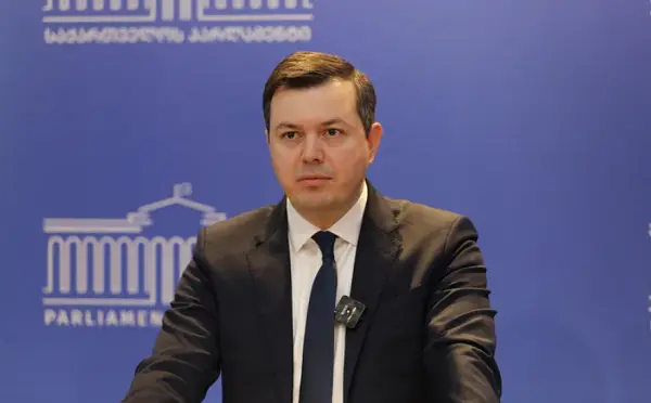 ვერც ირაკლი კირცხალია და ვერც სხვები ვერ დაიმალებიან მამუკა მდინარაძის კალთის ქვეშ - გიგა ფარულავა