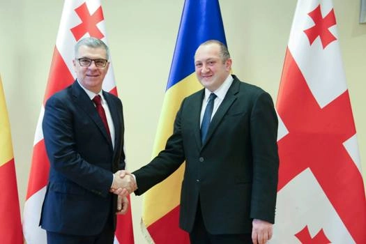 საქართველოს პრეზიდენტი რუმინეთის პარლამენტის დეპუტატთა პალატის თავმჯდომარეს ვალერიუ შტეფან ზგონეას შეხვდა