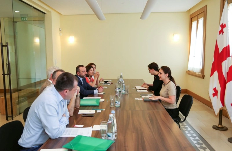  პრეზიდენტის მრჩეველს მიკროსაფინანსო ორგანიზაციების ასოციაციამ სექტორის წინაშე მდგარი პრობლემების შესახებ ინფორმაცია მიაწოდა