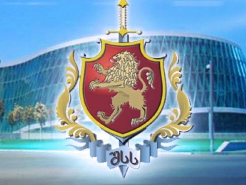 შსს-მ ბარათაშვილზე მომხდართან დაკავშირებით გამოძიება დაიწყო
