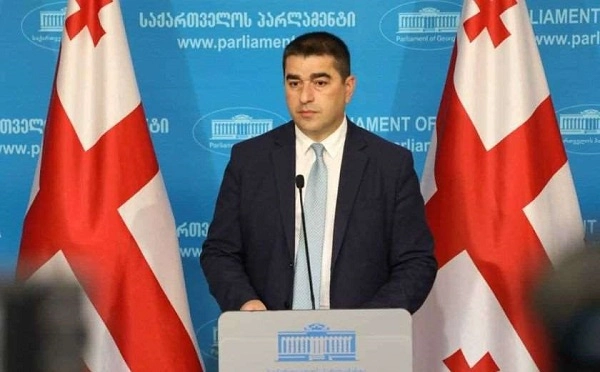 ქართველ ხალხს პრეზიდენტისთვის არ მიუნიჭებია საგარეო პოლიტიკის განხორციელების უფლებამოსილება, ეს უფლებამოსილება მიანიჭა მთავრობას - შალვა პაპუაშვილი