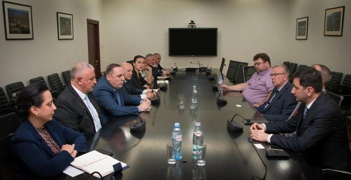 სოფლის მეურნეობის სამინისტროში ირლანდია-საქართველოს სავაჭრო პალატის წარმომადგენლებთან შეხვედრა გაიმართა