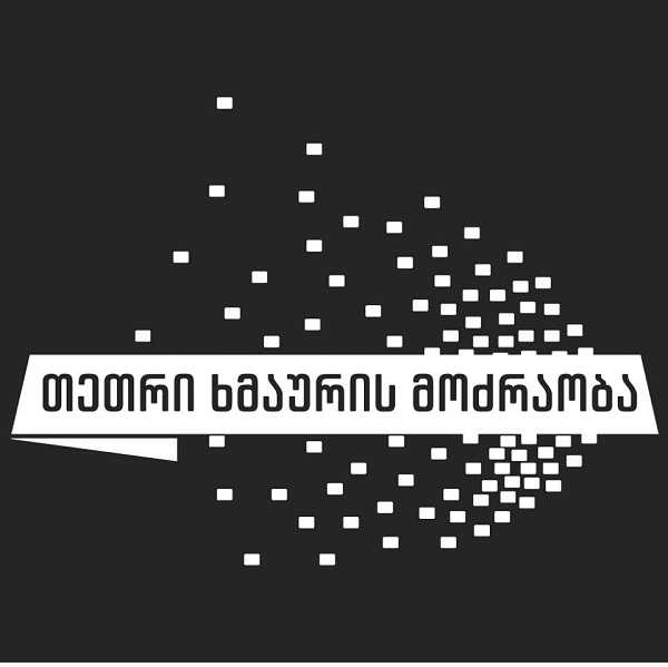  ანაკლიაში "თეთრი ხმაურის" აქტივისტი დააკავეს