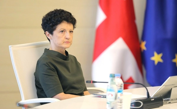 ყველა პატიმარს, ვინც შიმშილობს, მინდა, ვუსურვო ჯანმრთელობა და მოვუწოდო საკუთარი სიცოცხლისა და ჯანმრთელობის დაცვისკენ - თეა წულუკიანი
