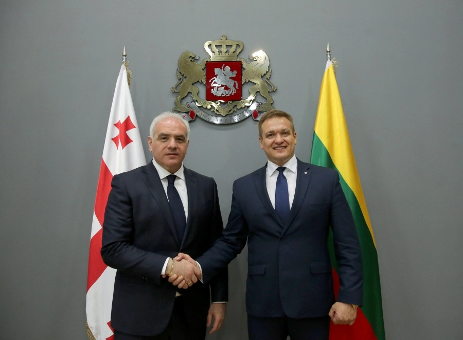 გიორგი მღებრიშვილი ლიტვის შინაგან საქმეთა მინისტრს შეხვდა