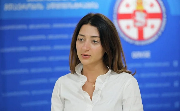 გიორგი გახარიასთან ერთად მივიღეთ გადაწყვეტილება, დღეიდან ვიწყებთ აქტიურ ფაზას პარტიის მშენებლობის - ანა ბუჩუკური