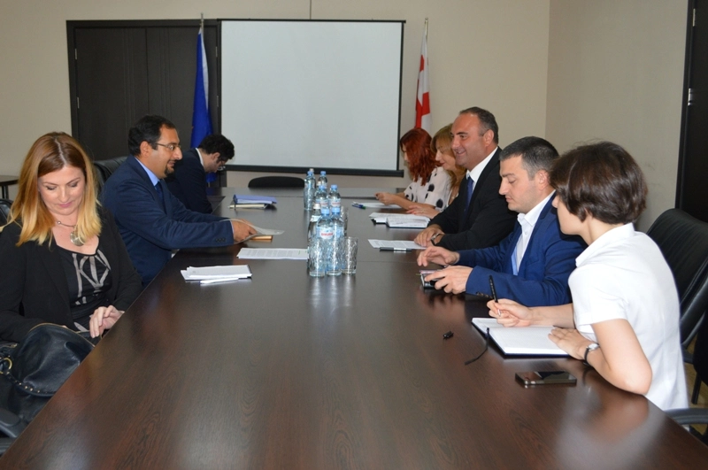 დევნილთა და განსახლების მინისტრის პირველი მოადგილე  ევროსაბჭოს დელეგაციის  წარმომადგენლებს შეხვდა
