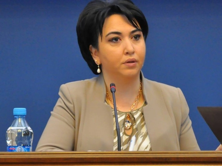 „ევროსასამართლოს არ უთქვამს, რომ ვანო მერაბიშვილი პოლიტპატიმარია“ - ეკა ბესელია