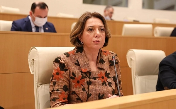 სალომე სამადაშვილი პარტია "ლელოს" წევრი გახდა