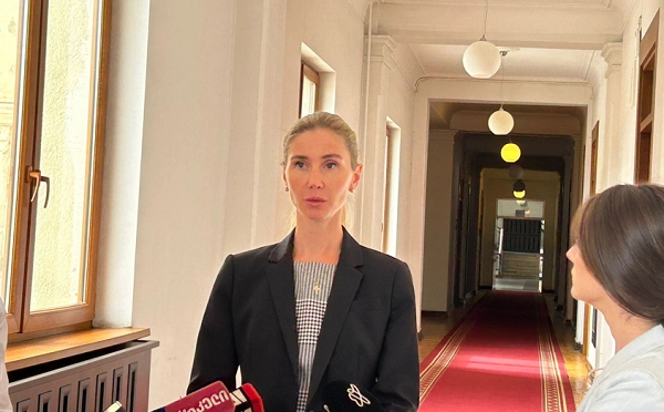სალომე ზურაბიშვილთან ქვეყნის ევროპული მომავლის ფარგლებში ვისაუბრეთ მიხეილ სააკაშვილის თავისუფლებაზე - თინა ბოკუჩავა