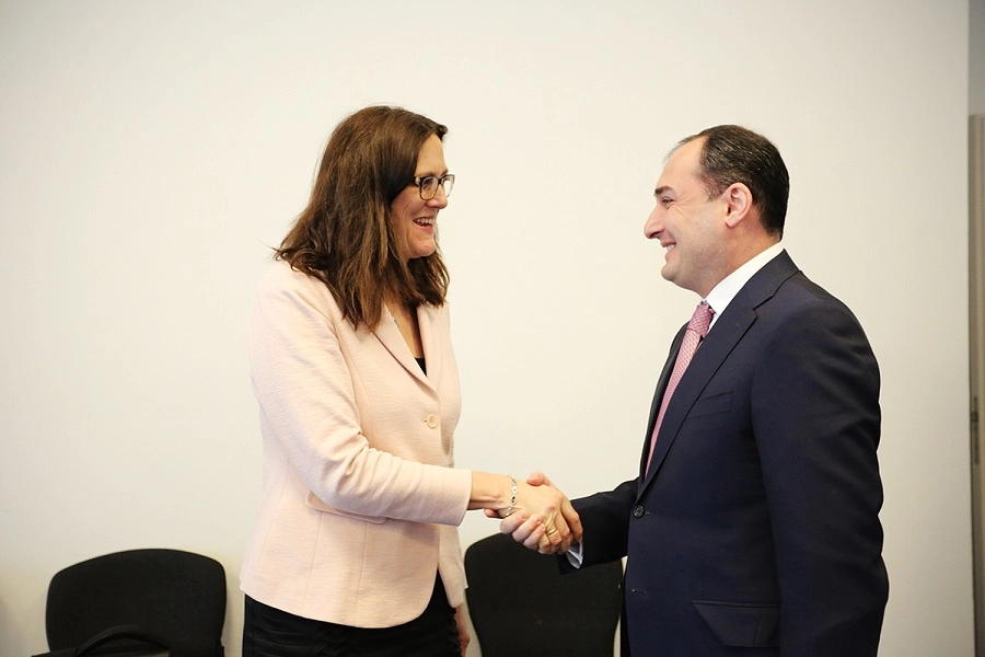 დიმიტრი ქუმსიშვილი ევროკომისარ სესილია მალმსტრომს შეხვდა