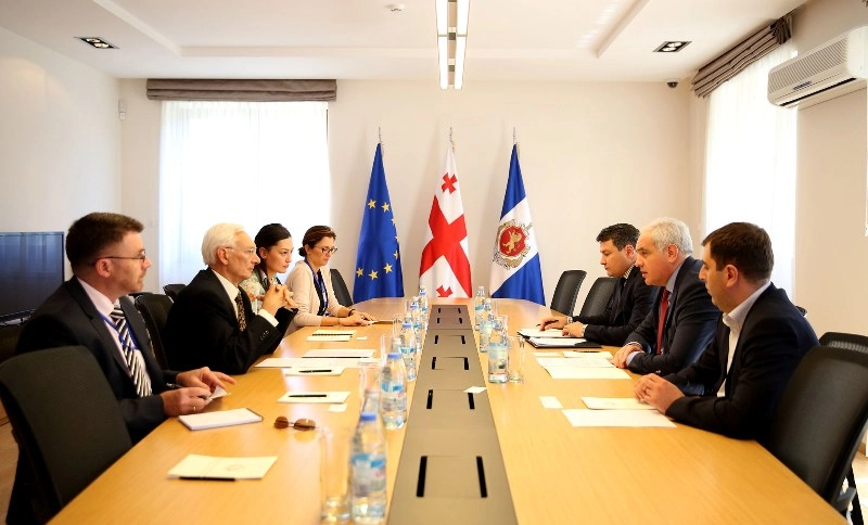 გიორგი მღებრიშვილი ეუთოს საპარლამენტო არჩევნების სადამკვირვებლო მისიის ხელმძღვანელს შეხვდა