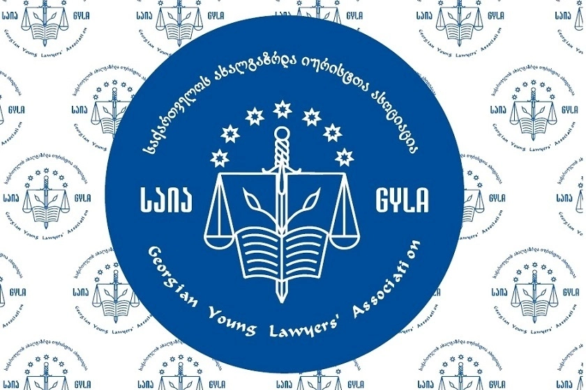 ხმის მიცემის ფარულობის დარღვევის 7 ფაქტი დაფიქსირდა - საია