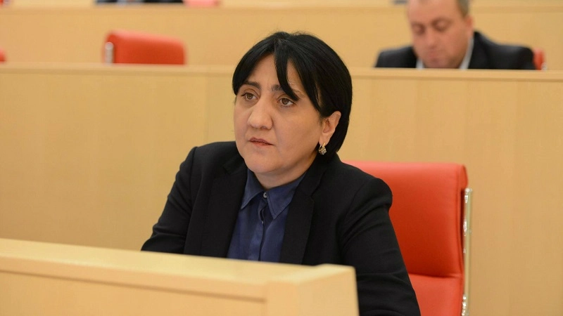 დაიწყოს გამოძიება "ნაციონალური მოძრაობის" თითქოსდა 780 ათასი ამომრჩევლის რეალურობის დადგენის მიზნით - ირმა ინაშვილი