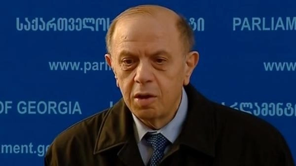 ლევან ბერძენიშვილი: ყველაზე სწორი პოზიცია პრეზიდენტმა და პარლამენტის თავმჯდომარემ გამოხატეს