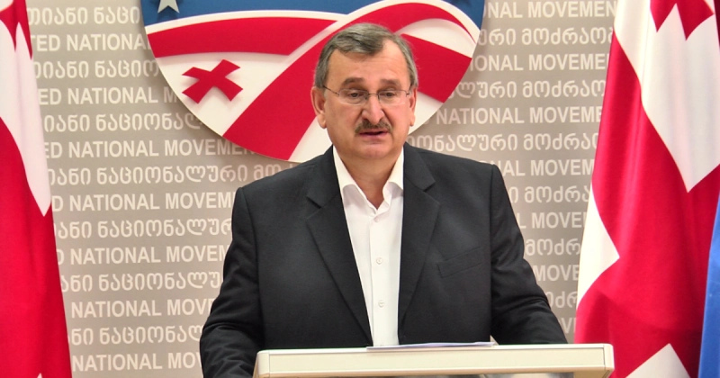 რომან გოცირიძე: სანდრა რულოვსი შევა პარლამენტში