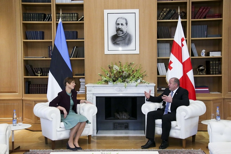  საქართველოს და ესტონეთის პრეზიდენტები NATO-ს და ,,აღმოსავლეთ პარტნიორობის" სამიტების მოსამზადებლად კოორდინირებულ ნაბიჯებზე შეთანხმდნენ
