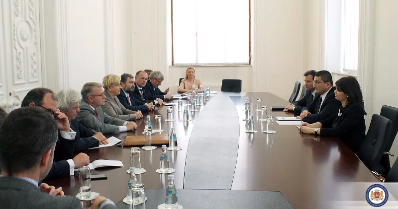 გიგი გიგიაძე ევროპარლამენტის საგარეო საქმეთა კომიტეტის და უსაფრთხოებისა და თავდაცვის ქვეკომიტეტის წარმომადგენლებს შეხვდა