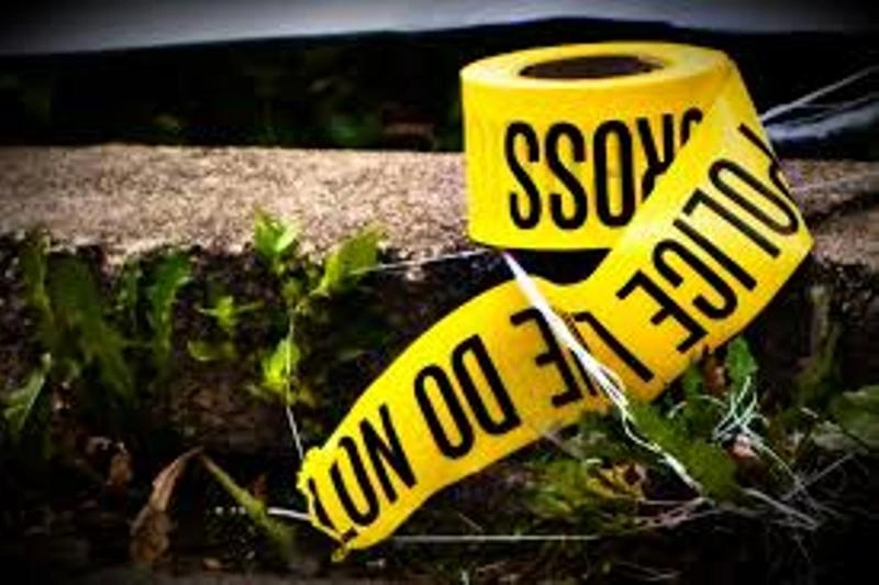 შსს-მ ქეთევან წამებულის გამზირზე მომხდარი დაჭრის ფაქტი გახსნა