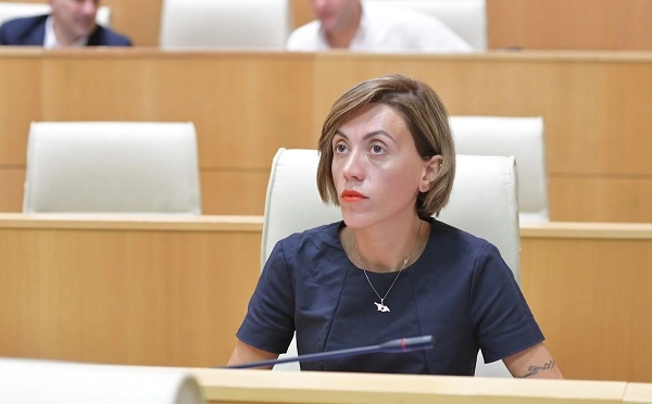 ჩემი შეფასებით, ეს არის ნიკა მელიას არასწორი პოლიტიკური ნაბიჯი, რომელიც ნაკარნახევი იყო პირადი წყენებით, ამბიციით, ნარცისული დამოკიდებულებით - ანა წითლიძე