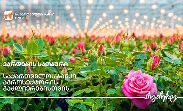  საქართველოს ბანკის მხარდაჭერით ოზურგეთში ვარდების სათბური აშენდა 