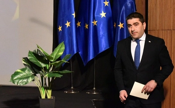 ვინმეს თუ უნდა, წვლილი შეიტანოს ევროპულ მომავალში, მხარი უნდა დაუჭიროს მთავრობას - პაპუაშვილი