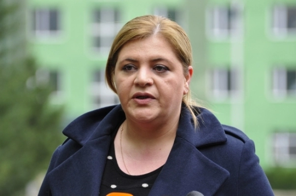 "პრემიერმა პრეზიდენტს სთხოვა წინასაარჩევნო პერიოდად 3 თვე განსაზღვრულიყო" - ირინა იმერლიშვილი