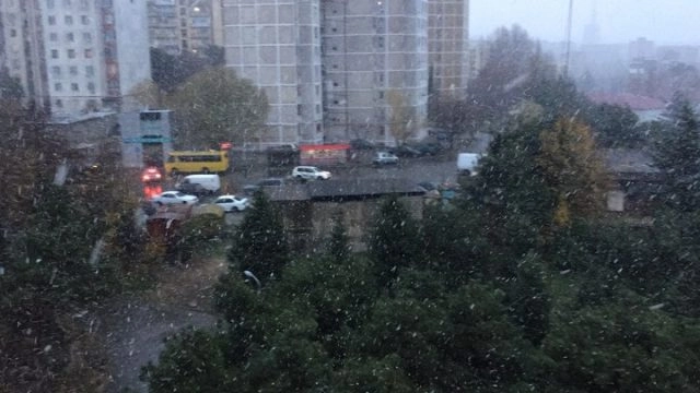 თბილისში თოვს (ვიდეო)