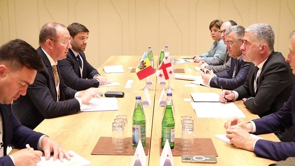 საქართველო, ისევე როგორც მოლდოვა ევროკავშირის კანდიდატის სტატუსის მიღებისთვის მუშაობს - ოთარ შამუგია