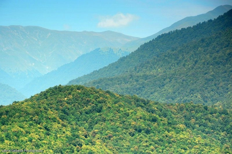 კიდევ ერთი გარდაცვლილი მონადირის ცხედარს მიაკვლიეს