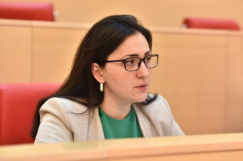 ჩვენთვის მნიშვნელოვანია საზოგადოებისა და დედა ეკლესიის აზრი - სოფო კილაძე