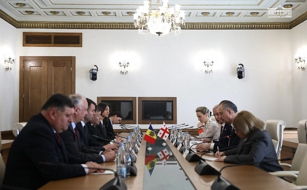 მოლდოვის ყოფილმა პრეზიდენტმა, დეპუტატმა იგორ დოდონმა, მოლდოვის პარლამენტის წევრებთან ერთად საქართველოს პარლამენტში შეხვედრები გამართა