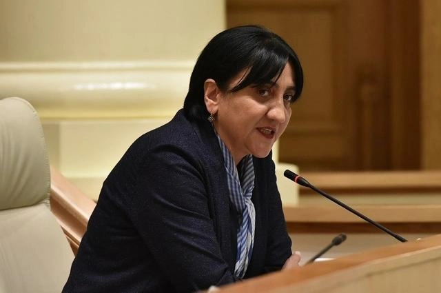 აფხაზეთშიც არიან ბოკერიები და სააკაშვილები - ირმა ინაშვილი