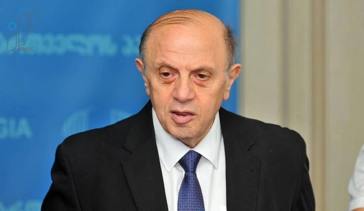 ლევან ბერძენიშვილი: არ მგონია, ირაკლი ღარიბაშვილი მოვიდეს