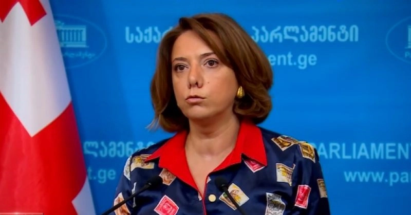 ვიღაცის სახლთან მივარდნა და აქციის გამართვა არც სააკაშვილის პრობლემის გადაჭრას უწყობს ხელს და არც საერთაშორისო წნეხის გაზრდას - სამადაშვილი
