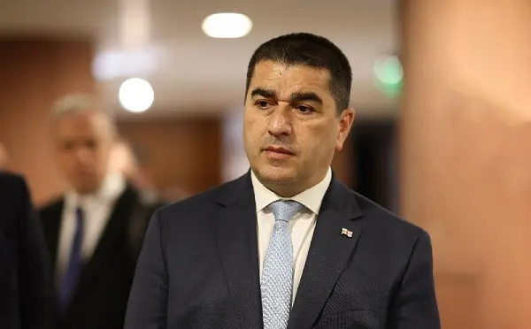 ჩვენთვის მთავარია, მშობლებმა, საზოგადოებამ ნახონ საქართველოს ხელისუფლების ზრუნვა ბავშვებზე, რაც შეეხება რადიკალების ჯგუფს, მორალი მათთვის არ მოქმედებს, სიკეთესაც ზიზღით აკეთებენ - პაპუაშვილი