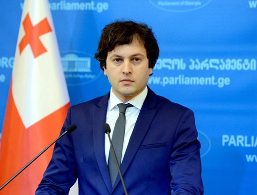  საქართველოში ფიქციური პარტიების დაფინანსებისთვის მილიონობით ლარი იხარჯება - ირაკლი კობახიძე