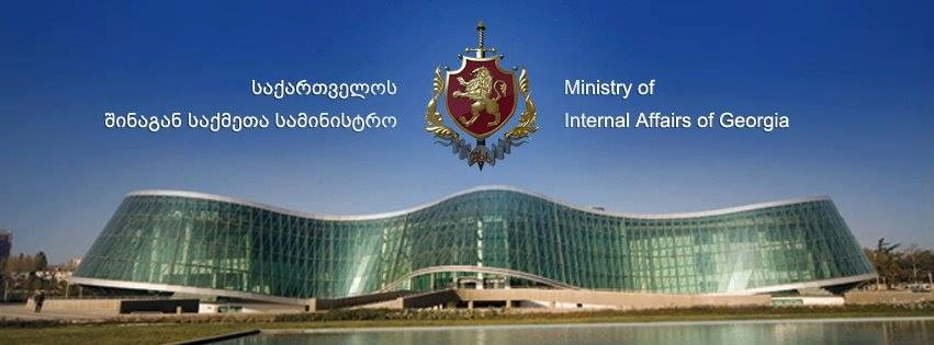 შსს: თათია დოლიძის მიმართ სავარაუდო მუქარის ფაქტზე გამოძიება დაიწყო