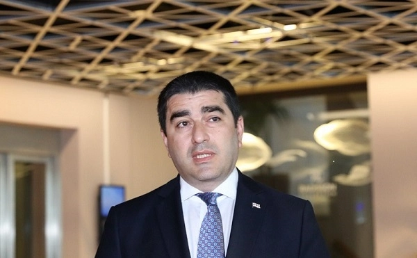 არ მაქვს მოლოდინი, რომ სალომე ზურაბიშვილი მიხეილ სააკაშვილს შეიწყალებს - პაპუაშვილი