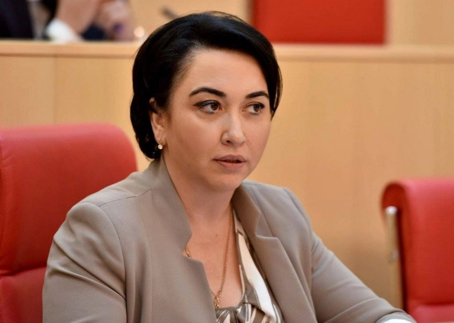 პოლიტიკოსების მხრიდან მტკიცებულებებზე მტკიცებით ნაწილში საუბარი, სასამართლოსთვის ზეწოლად აღქმული იქნება - ბესელია