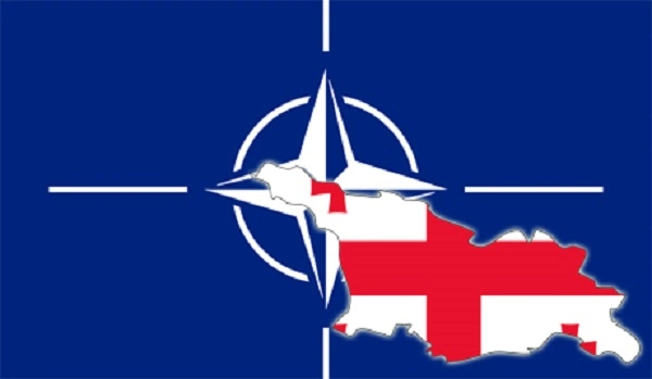 ნატო-ს საპარლამენტო ასამბლეის სხდომაზე საქართველოს მხარდამჭერი დეკლარაცია ქართული მხარის დამატებებით მიიღეს