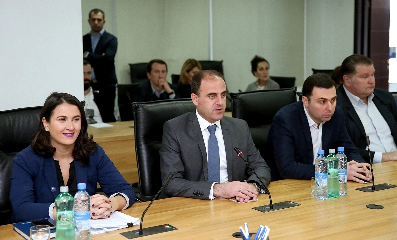 დავით ნარმანია ესპანეთის ქალაქ ბილბაოს დელეგაციას შეხვდა