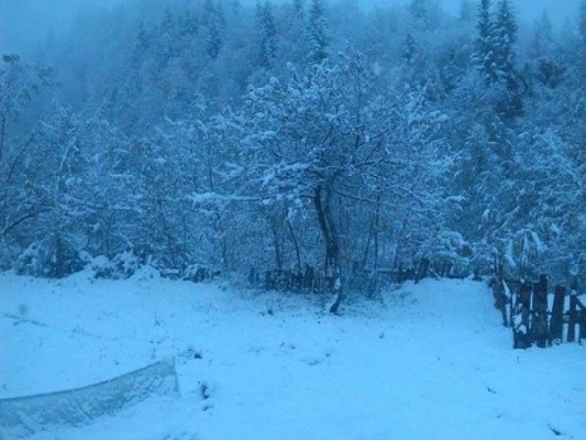 გოდერძის უღელტეხილზე თოვს