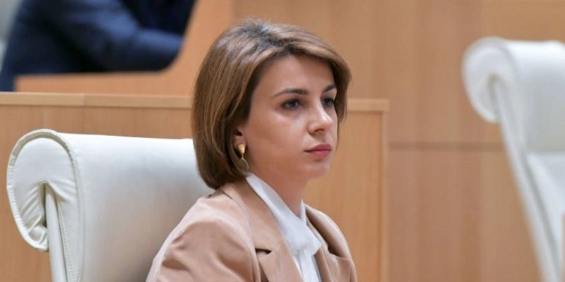 გახარიას პოლიტიკური პასუხისმგებლობის საკითხს არ ვხედავთ - თამარ ჩუგოშვილი 