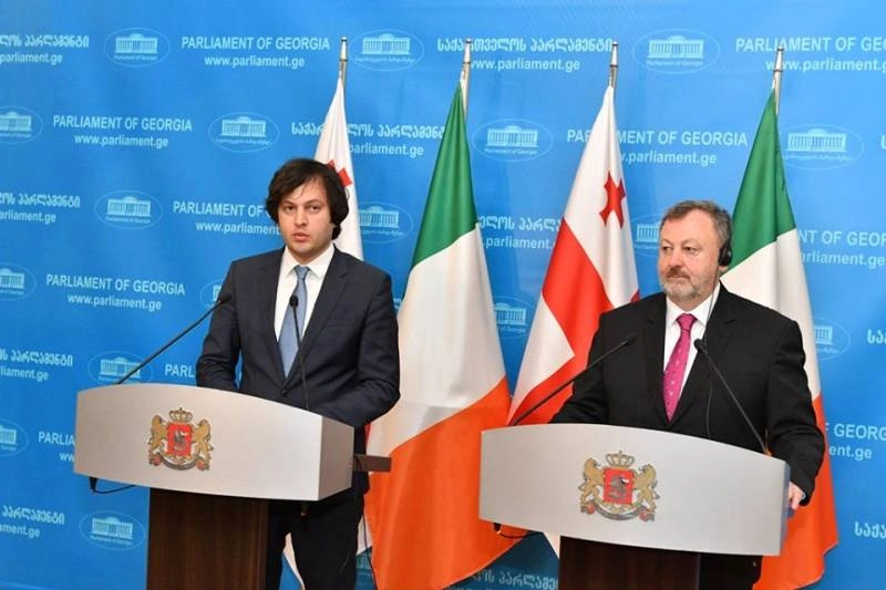ირაკლი კობახიძე ირლანდიის რესპუბლიკის სენატის თავმჯდომარეს შეხვდა