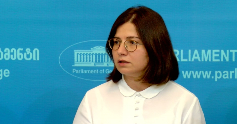 ,,ევროპული საქართველო” პანკისში ჩატარებული სპეცოპერაციის შესახებ დეტალების გასაჯაროვებას ითხოვს