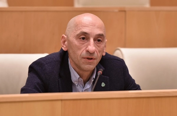 "დეოლიგარქიზაციის შესახებ“ კანონპროექტით, მე-19 საუკუნეში ილია ჭავჭავაძეს პოლიტიკური საქმიანობა აეკრძალებოდა - ვახტანგ მეგრელიშვილი 
