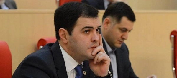 ეკა გიგაურს სასამართლო სისტემა არ მოსწონს - ზარდიაშვილი